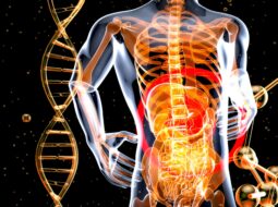 Dr. Islamuddin Wardak-Spinal Alignment