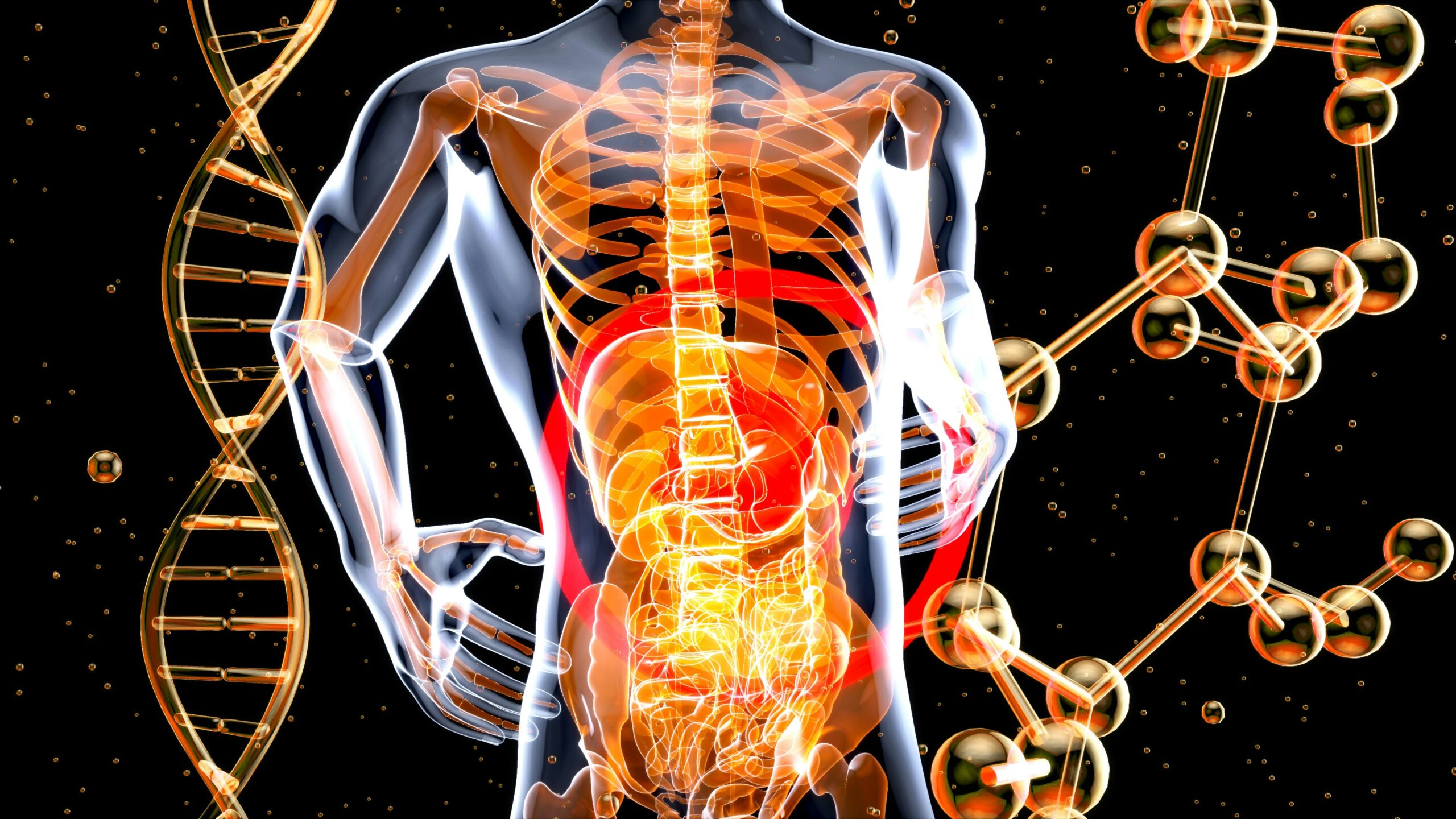 Dr. Islamuddin Wardak-Spinal Alignment
