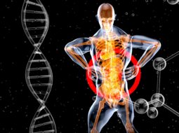 Ancient Healing Principles in Modern Chiropractic Care for Whole-Body Wellness