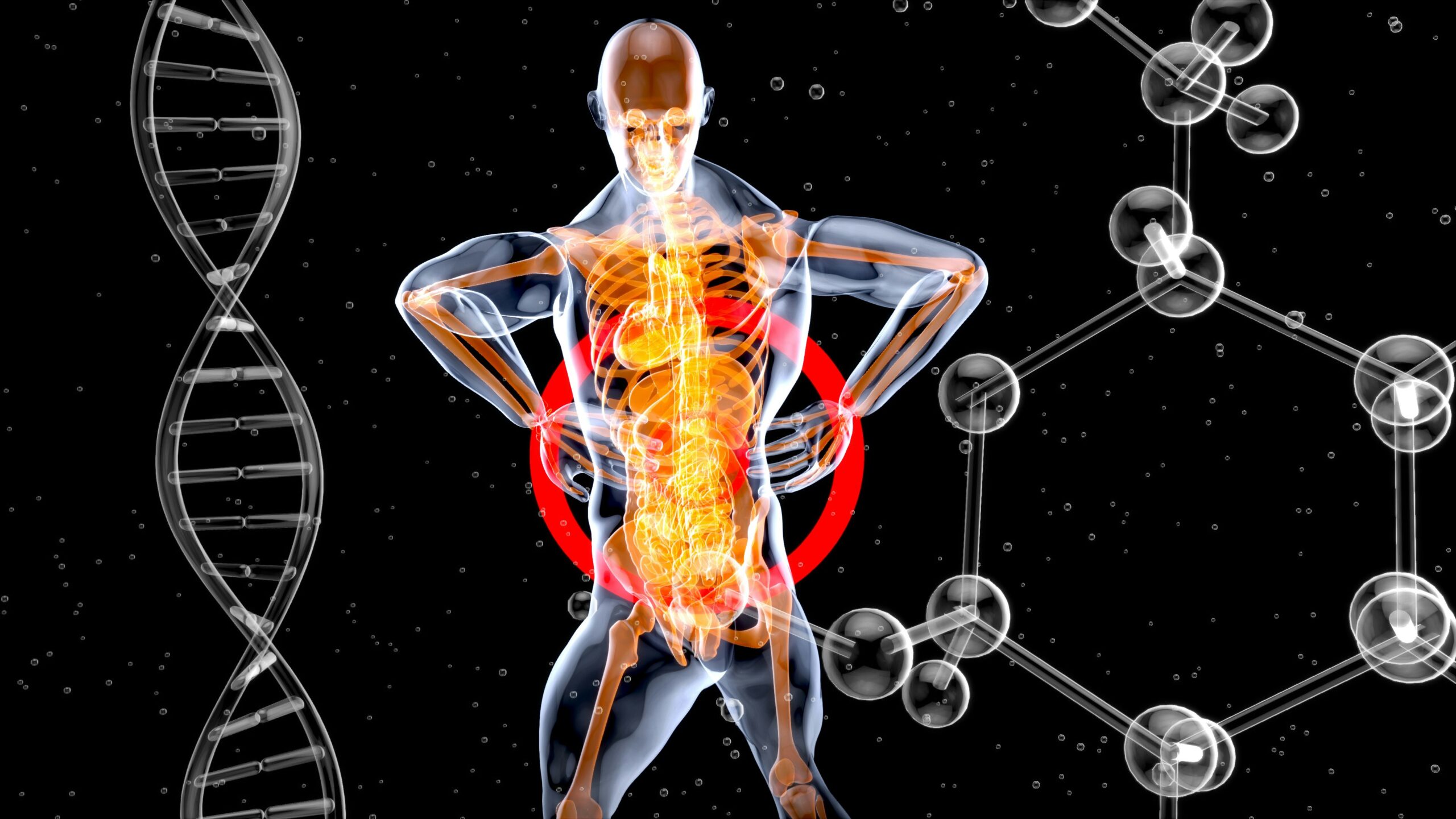 Ancient Healing Principles in Modern Chiropractic Care for Whole-Body Wellness